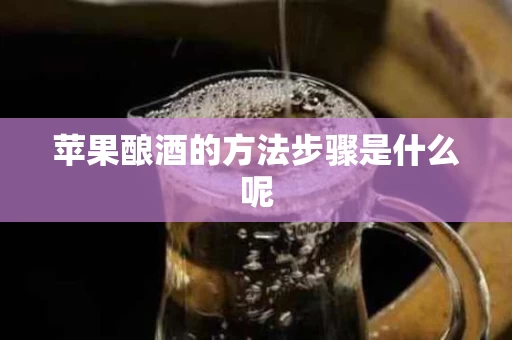 苹果酿酒的方法步骤是什么呢