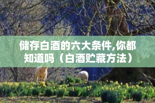 储存白酒的六大条件,你都知道吗（白酒贮藏方法）