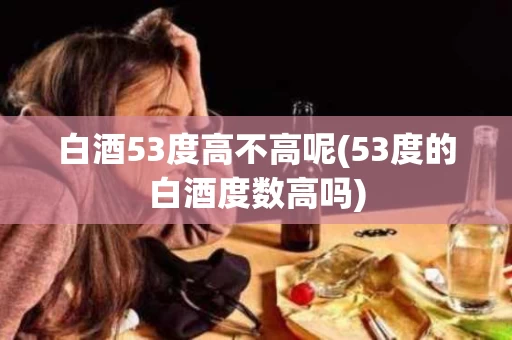 白酒53度高不高呢(53度的白酒度数高吗)