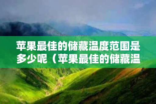 苹果最佳的储藏温度范围是多少呢（苹果最佳的储藏温度范围是多少呢）