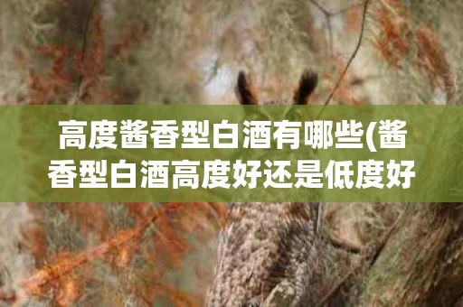 高度酱香型白酒有哪些(酱香型白酒高度好还是低度好)
