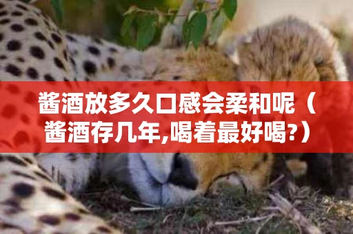 酱酒放多久口感会柔和呢（酱酒存几年,喝着最好喝?）