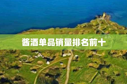酱酒单品销量排名前十