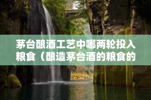 茅台酿酒工艺中哪两轮投入粮食（酿造茅台酒的粮食的产地和要求）