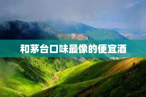 和茅台口味最像的便宜酒