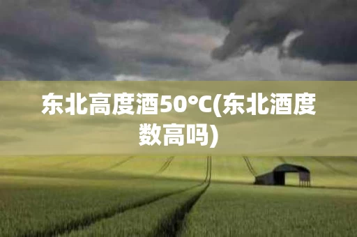 东北高度酒50℃(东北酒度数高吗)