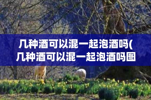 几种酒可以混一起泡酒吗(几种酒可以混一起泡酒吗图片)