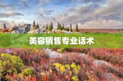 美容销售专业话术