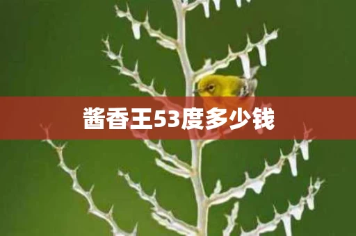 酱香王53度多少钱