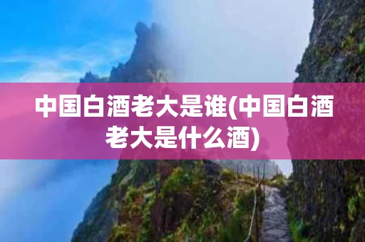 中国白酒老大是谁(中国白酒老大是什么酒)