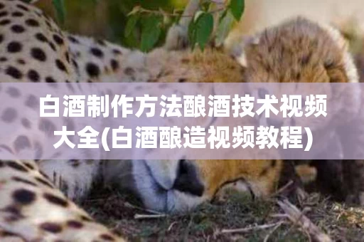 白酒制作方法酿酒技术视频大全(白酒酿造视频教程)