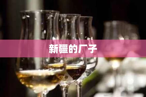 新疆的厂子