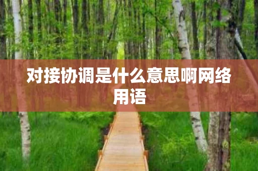 对接协调是什么意思啊网络用语