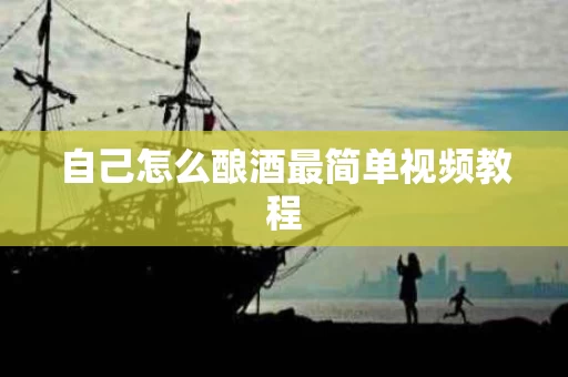 自己怎么酿酒最简单视频教程