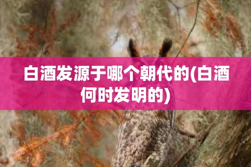 白酒发源于哪个朝代的(白酒何时发明的) 白酒发源于哪个朝代的(白酒何时发明的)