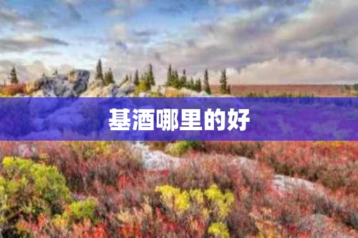 基酒哪里的好
