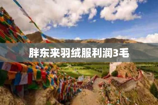 胖东来羽绒服利润3毛