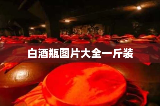 白酒瓶图片大全一斤装