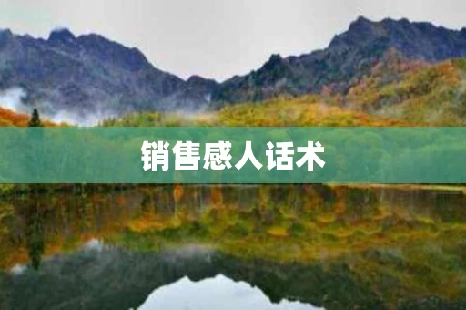 销售感人话术
