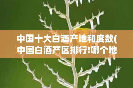 中国十大白酒产地和度数(中国白酒产区排行!哪个地方出产好酒最多?)