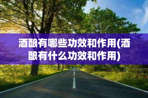 酒酿有哪些功效和作用(酒酿有什么功效和作用)