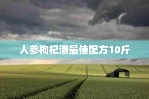 人参枸杞酒最佳配方10斤