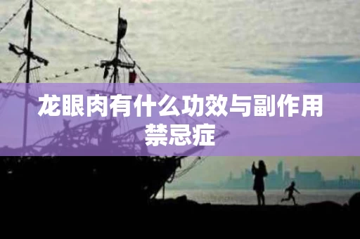 龙眼肉有什么功效与副作用禁忌症