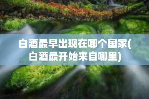 白酒最早出现在哪个国家(白酒最开始来自哪里)