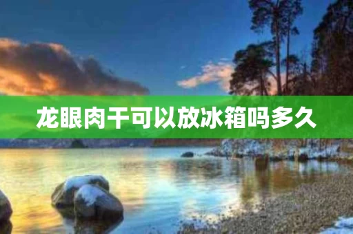 龙眼肉干可以放冰箱吗多久