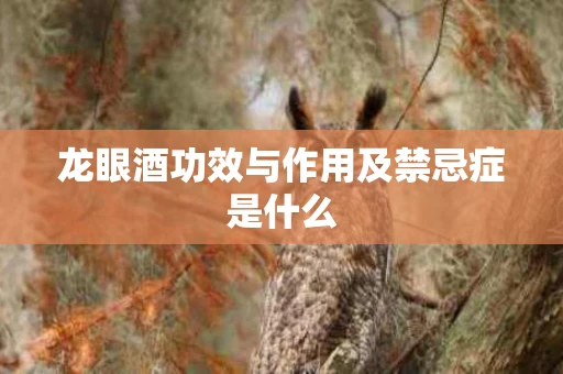 龙眼酒功效与作用及禁忌症是什么