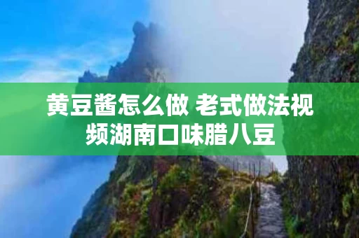黄豆酱怎么做 老式做法视频湖南口味腊八豆