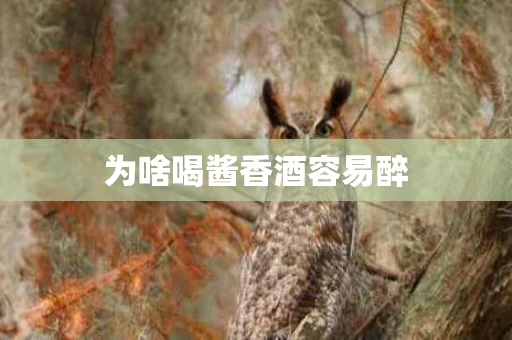 为啥喝酱香酒容易醉