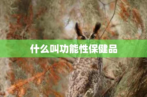 什么叫功能性保健品