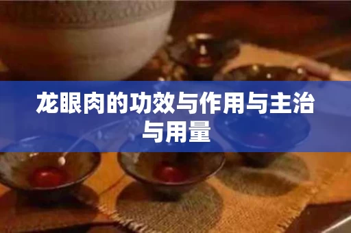 龙眼肉的功效与作用与主治与用量