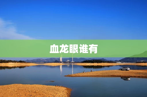血龙眼谁有
