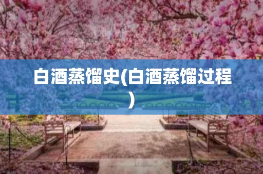 白酒蒸馏史(白酒蒸馏过程)