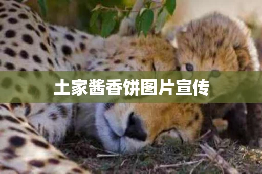 土家酱香饼图片宣传
