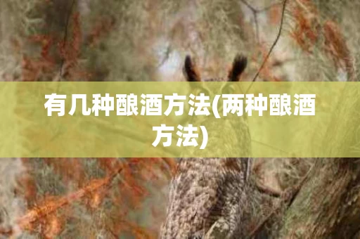 有几种酿酒方法(两种酿酒方法)