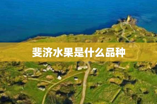 斐济水果是什么品种