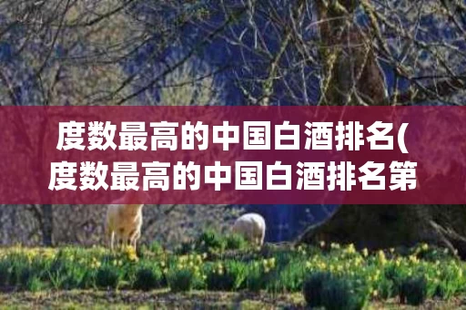 度数最高的中国白酒排名(度数最高的中国白酒排名第一)
