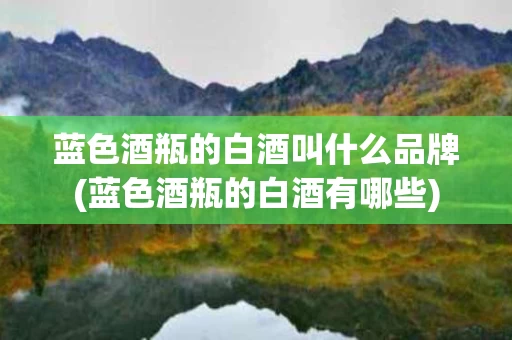 蓝色酒瓶的白酒叫什么品牌(蓝色酒瓶的白酒有哪些)