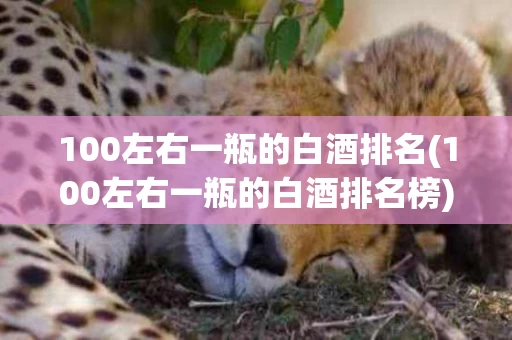 100左右一瓶的白酒排名(100左右一瓶的白酒排名榜)