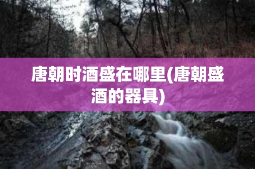 唐朝时酒盛在哪里(唐朝盛酒的器具)