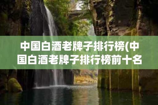 中国白酒老牌子排行榜(中国白酒老牌子排行榜前十名)