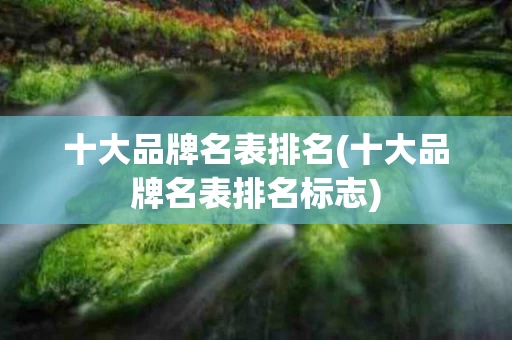 十大品牌名表排名(十大品牌名表排名标志)
