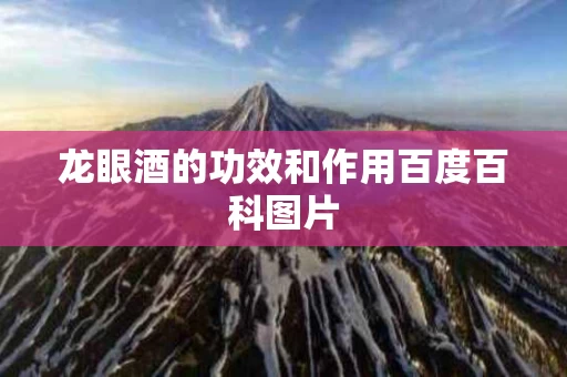 龙眼酒的功效和作用百度百科图片