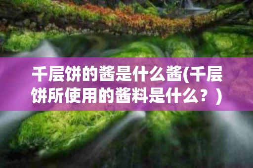 千层饼的酱是什么酱(千层饼所使用的酱料是什么？)