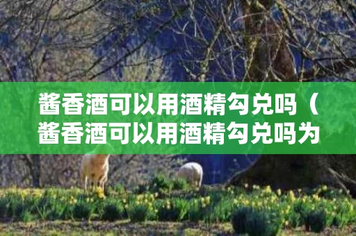 酱香酒可以用酒精勾兑吗（酱香酒可以用酒精勾兑吗为什么）