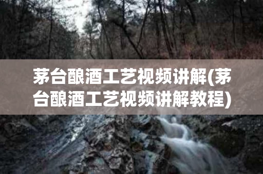 茅台酿酒工艺视频讲解(茅台酿酒工艺视频讲解教程)