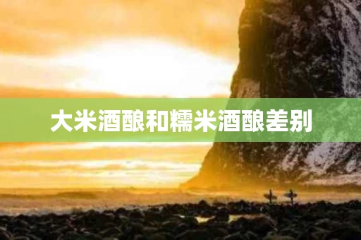 大米酒酿和糯米酒酿差别